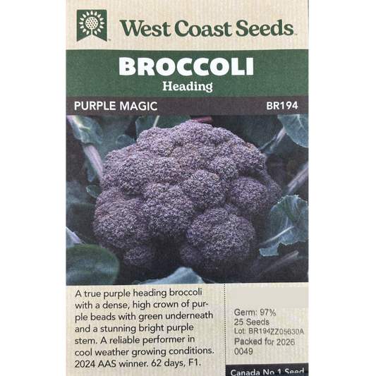 West Coast Broccoli Purple Magic