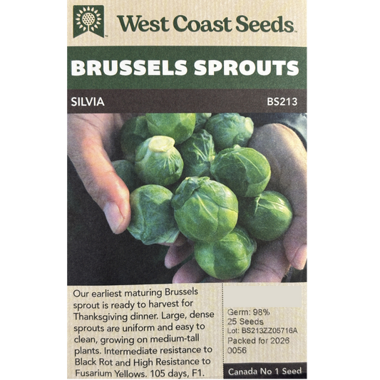 West Coast Brussels Sprouts Silvia