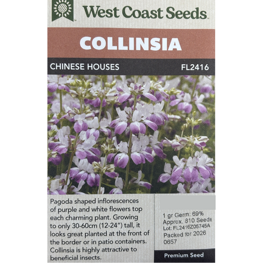 West Coast Collinsia Chinese Houses Pkg.