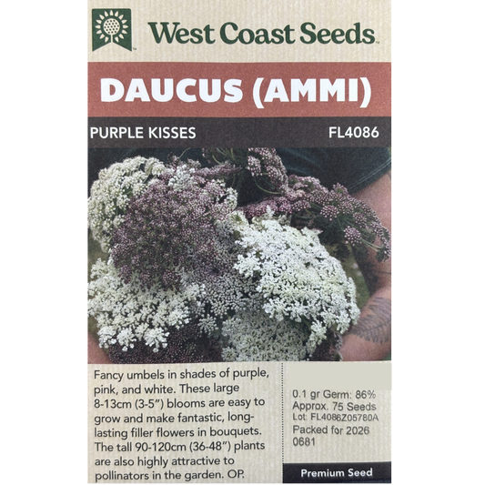 West Coast Daucus Purple Kisses Pkg.