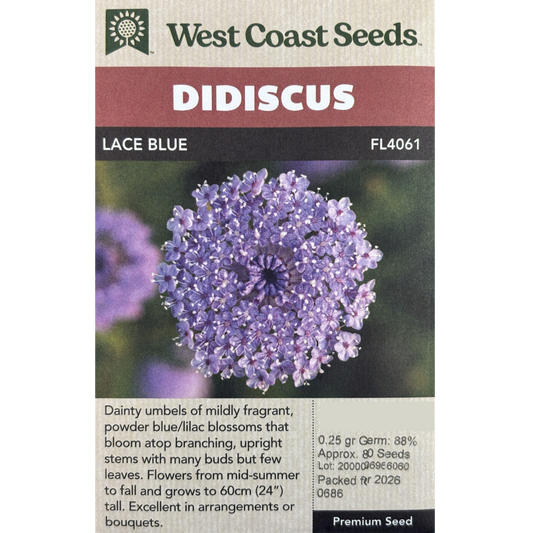 West Coast Didiscus Lace Blue Pkg.