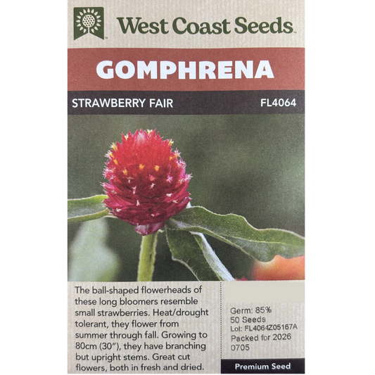 West Coast Gomphrena Strawberry Fair Pkg.