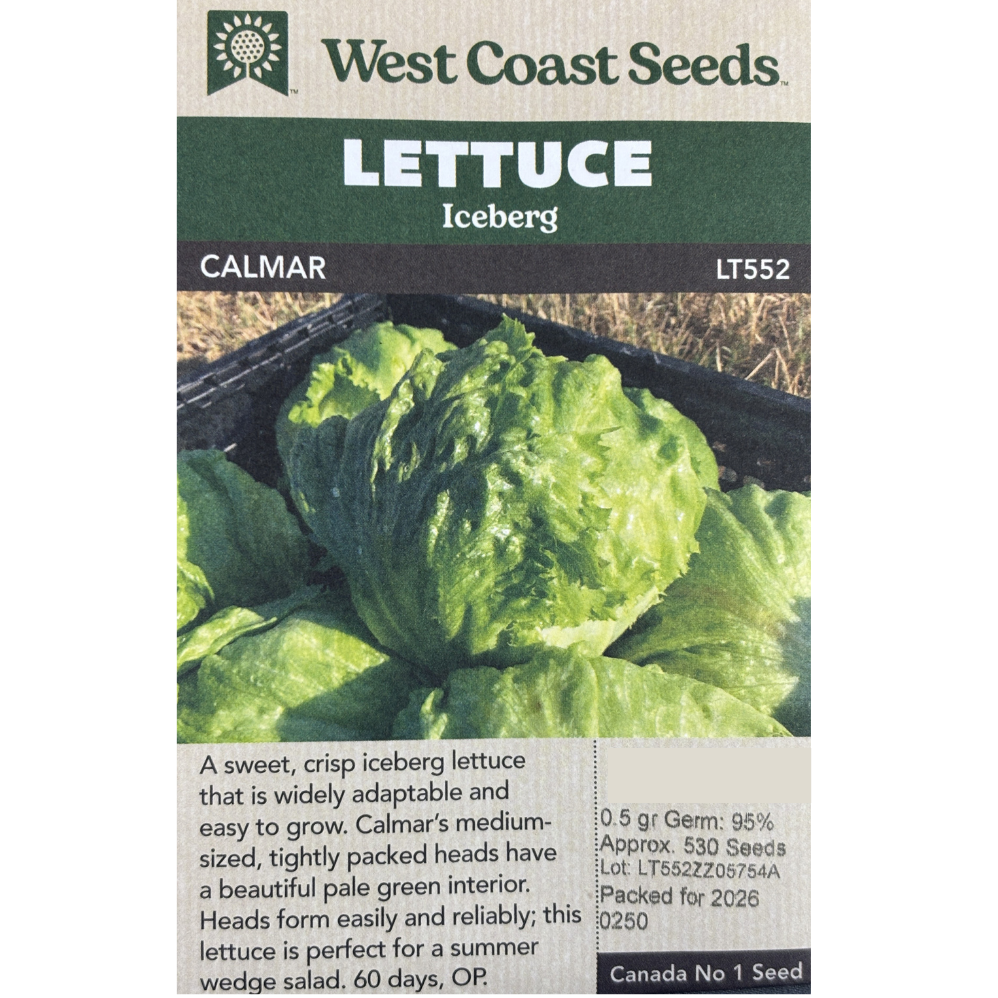 West Coast Lettuce Iceberg Calmar Pkg.