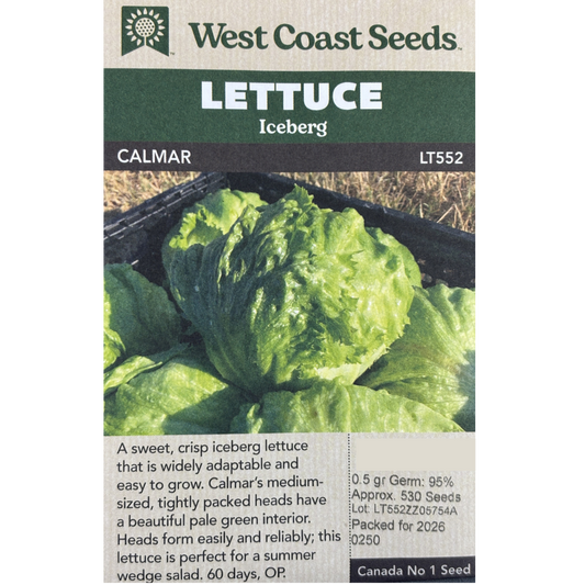 West Coast Lettuce Iceberg Calmar Pkg.