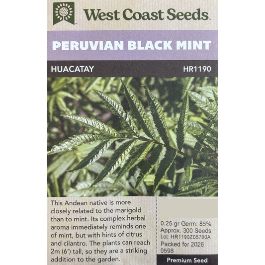 West Coast Mint Peruvian Black Pkg.