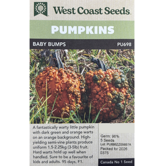 West Coast Pumpkins Baby Bumps Pkg.