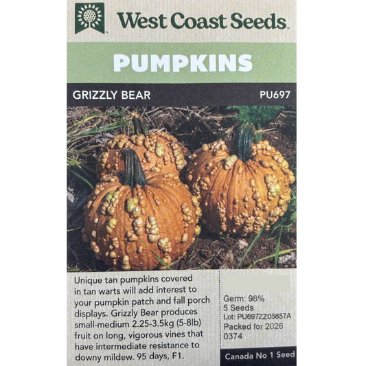 West Coast Pumpkins Grizzly Bear Pkg.
