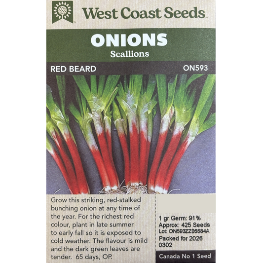 West Coast Scallions Red Beard Pkg.