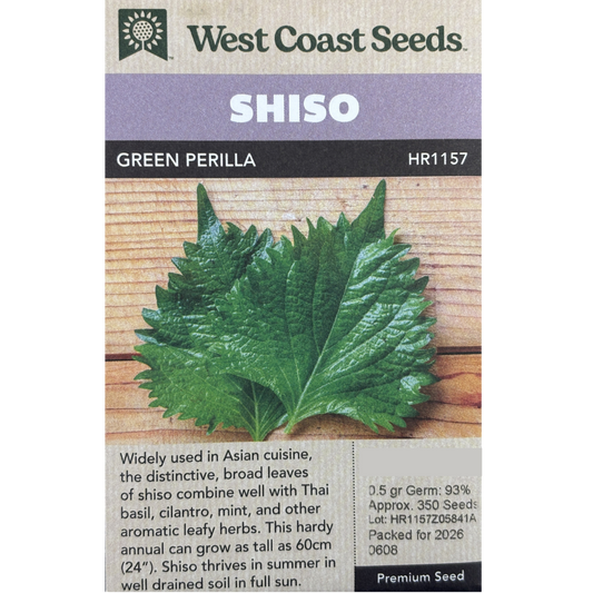West Coast Shiso Green Perilla Pkg.