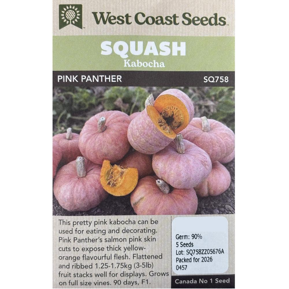 West Coast Squash Kaboucha Pink Panther Pkg.