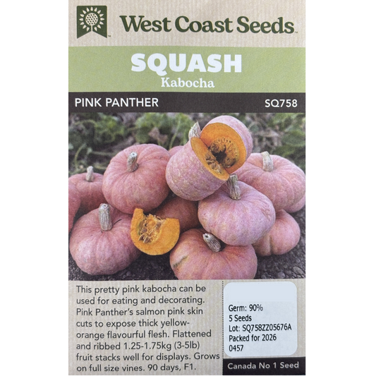 West Coast Squash Kaboucha Pink Panther Pkg.