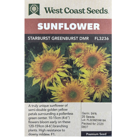 West Coast Sunflower Starburst Greenburst Pkg.