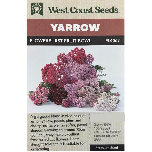 West Coast Yarrow Flowerburst Fruit Bowl Pkg.