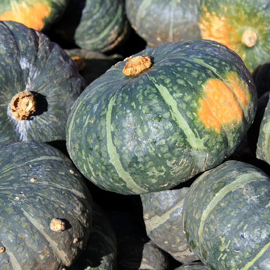 Squash 'Sweet Mama' Winter