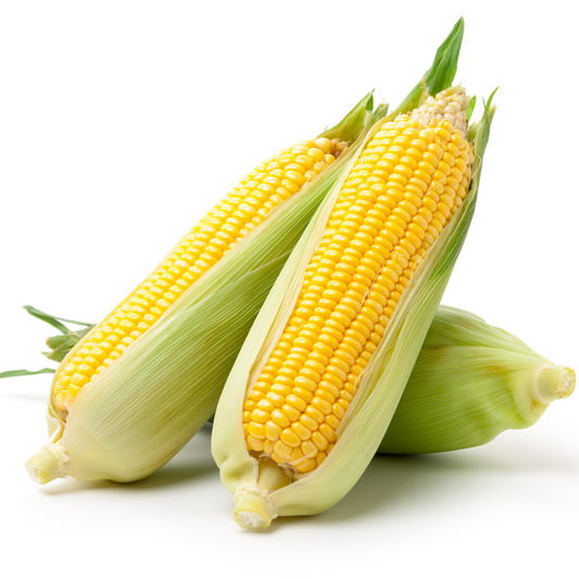 Corn 'Yellow'