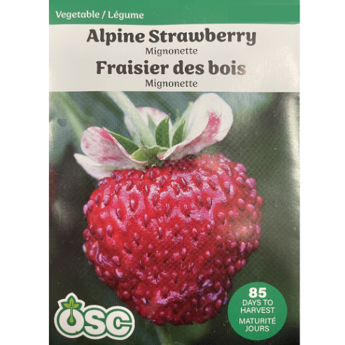 OSC Seeds Strawberry Alpine Pkg