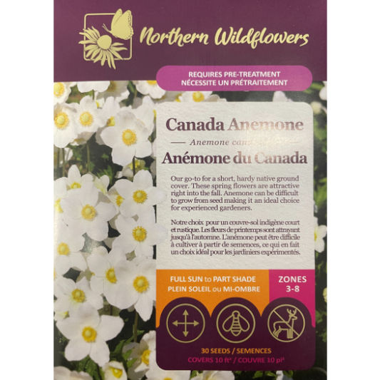 Northern Wildflowers Anemone Canada Pkg.