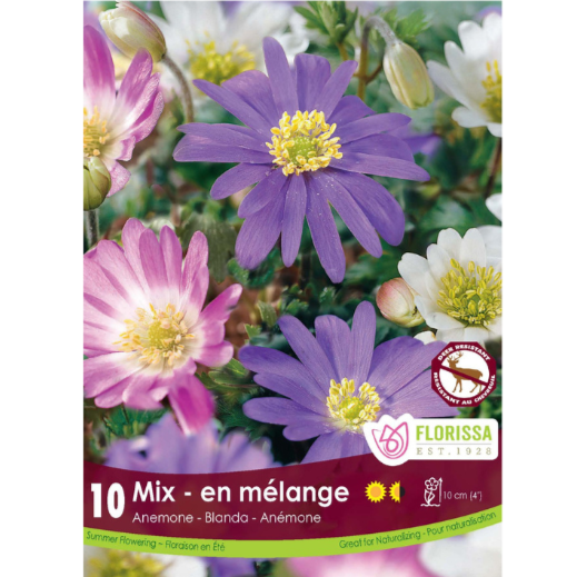 Anemone Blanda Mix Bulbs 10/pkg
