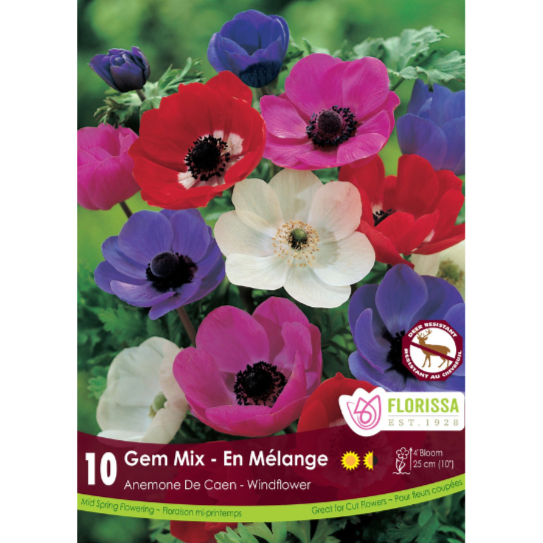 Bulbs Anemone De Caen Gem Mix 10/Pkg.