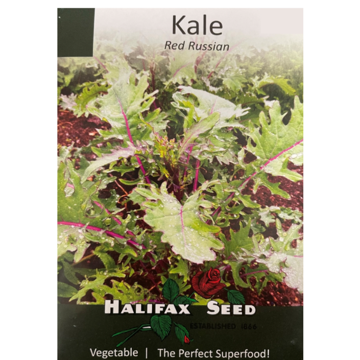 Halifax Seed Kale Red Russian