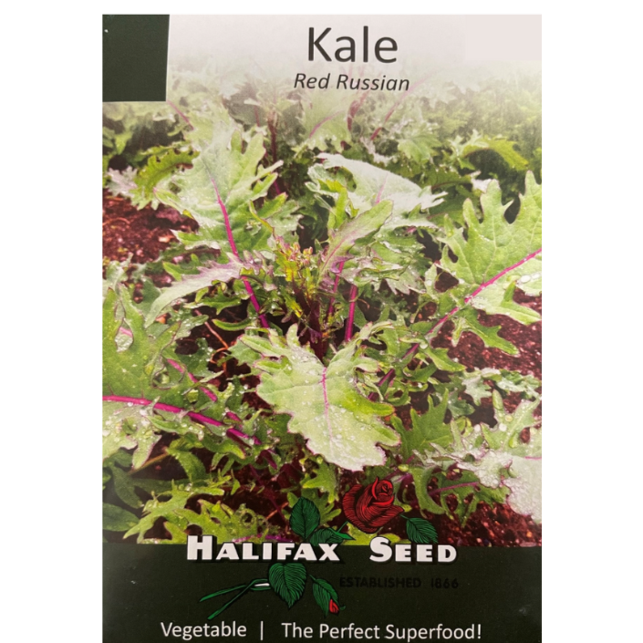 Halifax Seed Kale Red Russian Pkg.