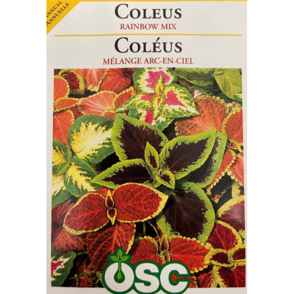 OSC Seeds Coleus Rainbow Mix Pkg