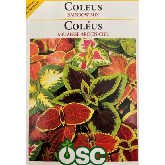 OSC Seeds Coleus Rainbow Mix Pkg.