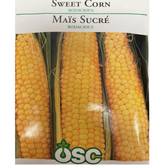 OSC Seeds Corn Sweet Bodacious
