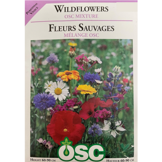 OSC Seeds Mix Wildflower
