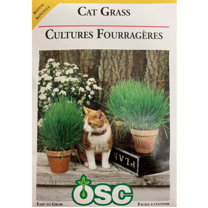 OSC Seeds Cat Grass Pkg