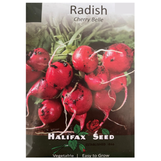 Halifax Seed Radish Cherry Belle