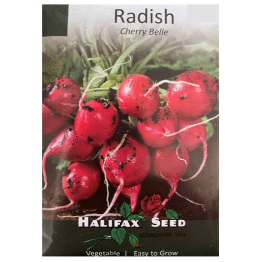 Halifax Seed Radish Cherry Belle Pkg.