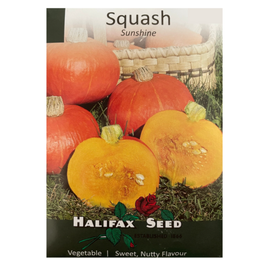 Halifax Seed Squash Sunshine
