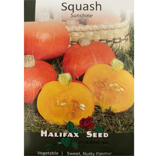 Halifax Seed Squash Sunshine