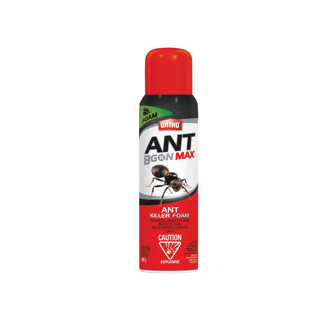 Ortho Ant Bgon Max Ant Killer Foam 400g