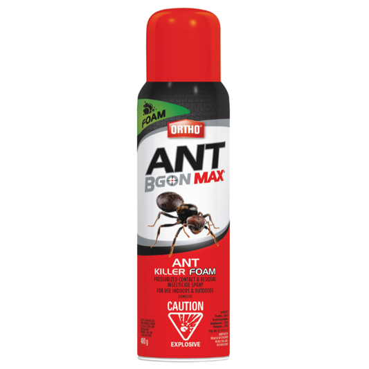 Ortho Ant Bgon Max Ant Killer Foam 400g