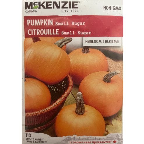 McKenzie Seed Pumpkin Small Sugar Pkg.