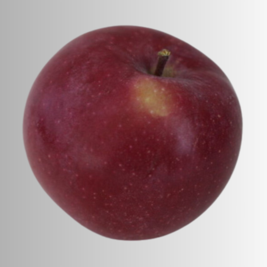 Apple Ruby Mac 3gal Whip