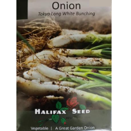 Halifax Seed Onion Tokyo Long White Bunching
