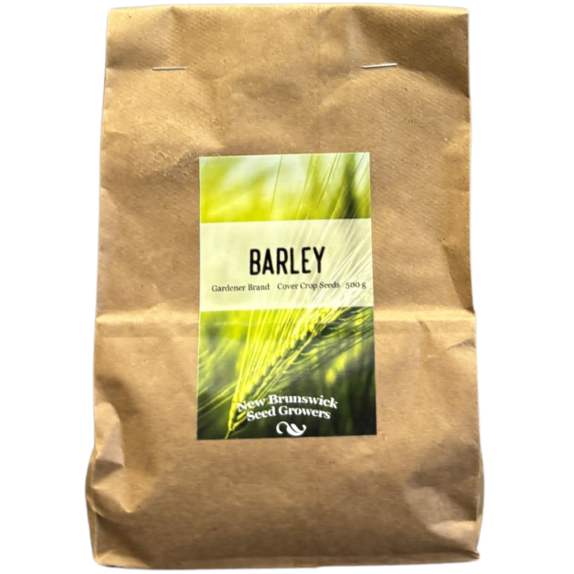 Homesteader Barley Seeds 500g