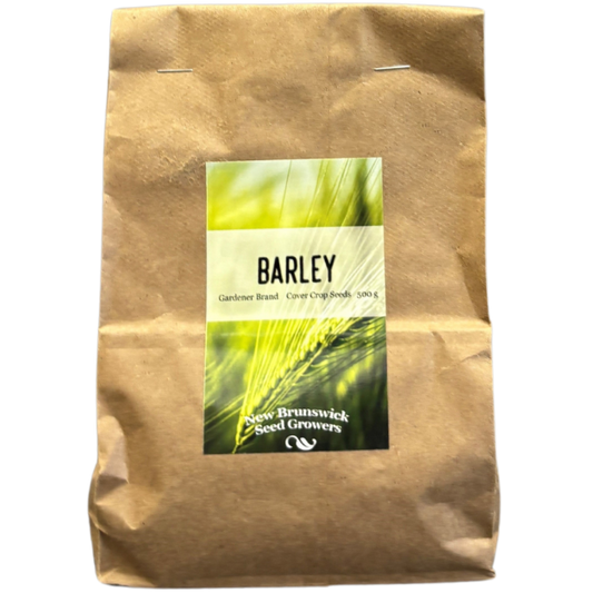Homesteader Barley Seeds 500g