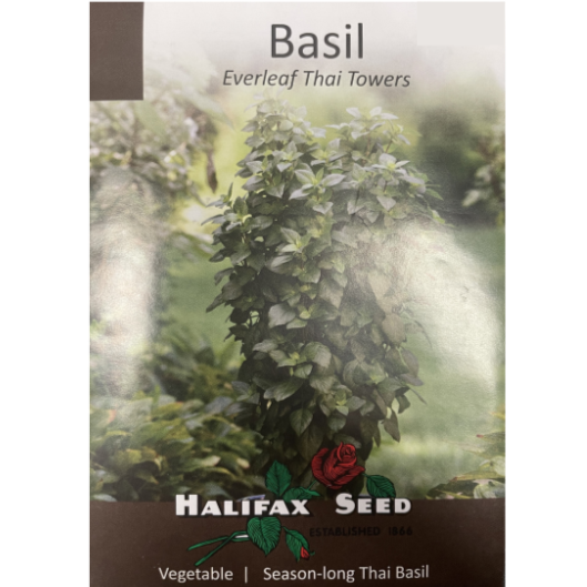Halifax Seed Basil Everleaf Thai Towers