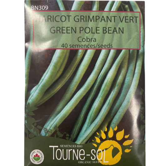 Tourne-Sol Bean Pole Green Cobra Pkg
