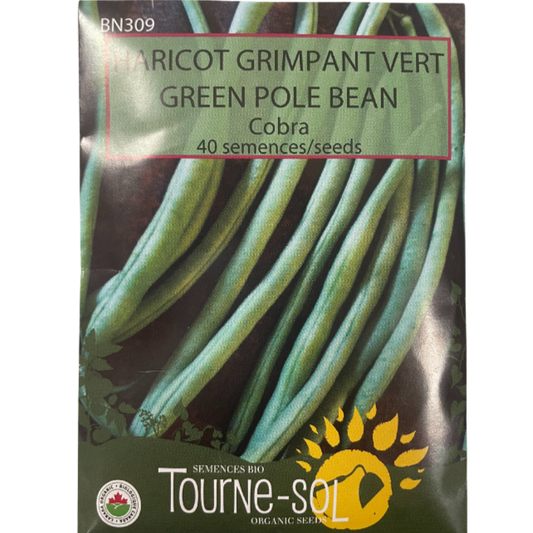 Tourne-Sol Bean Green Cobra Pole Pkg.