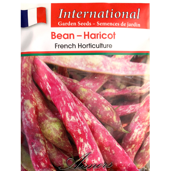 Aimers International Bean French Horticulture