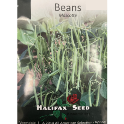 Halifax Seed Beans Mascotte