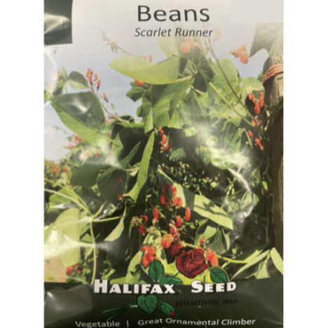 Halifax Seed Bean Scarlet Runner Pkg
