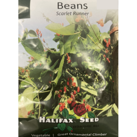 Halifax Seed Bean Scarlet Runner Pkg.
