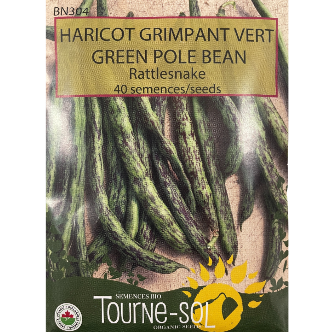 Tourne-Sol Green Pole Bean Rattlesnake Pkg