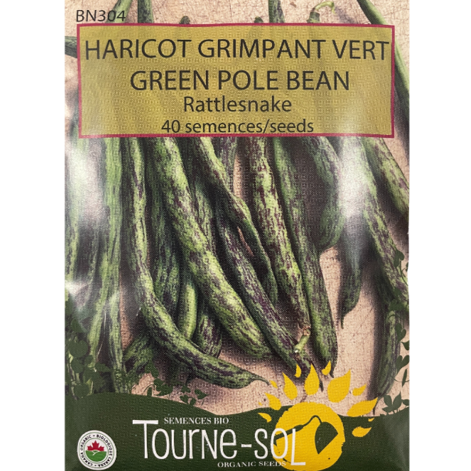 Tourne-Sol Bean Green Rattlesnake Pole Pkg.